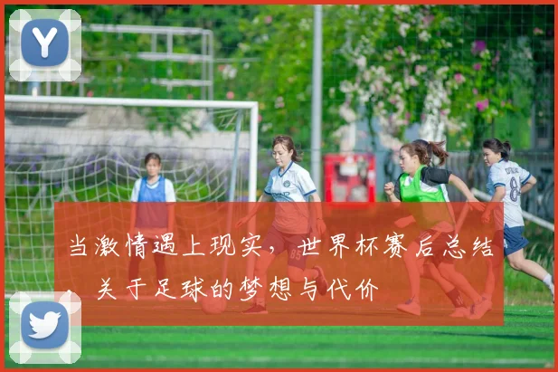 当激情遇上现实，世界杯赛后总结，关于足球的梦想与代价